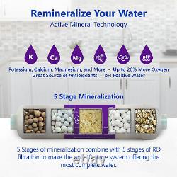 Alkaline Reverse Osmosis Water Filtration System Mineral RO with Gauge 100GPD