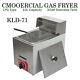 Commercial Countertop Gas Fryer Deep Fryer Propane(lpg) 1 Basket Stainless Steel