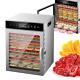 Commercial Food Dehydrator 12-tray Stainless Steel Fruit Meat Jerky Dryer Timer